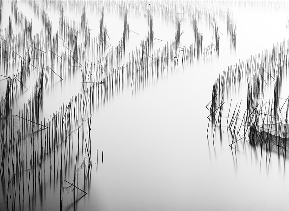 beverly_show's tweet photo. Lots of good photography will be at the art show this weekend.
https://t.co/9TwXvz8Mb0
#bhartshowartist
#communitylifebh https://t.co/BOHMtn06Yp