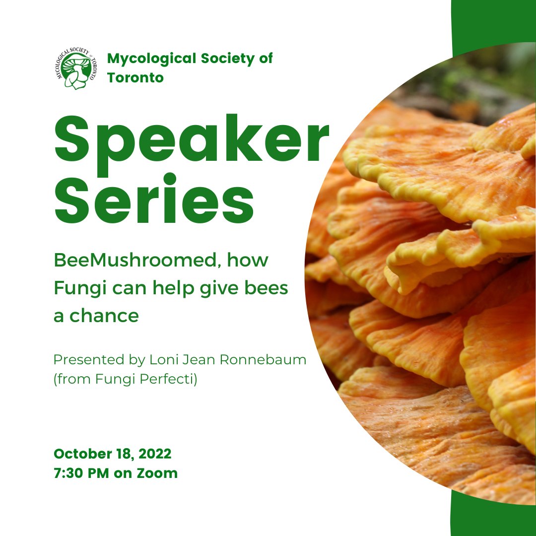 mycotoronto's tweet photo. Join us on Zoom on Tuesday, October 18th at 7:30pm for our online Speaker Series! For more info and details on how to join, visit https://t.co/iCc6DySjqQ. https://t.co/aMWzjNecYz