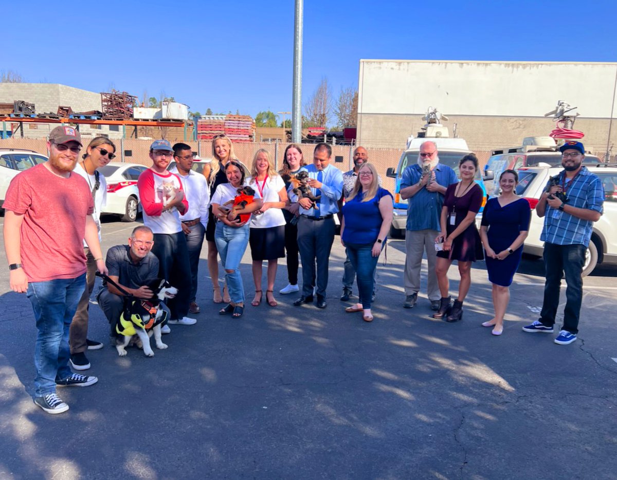 valleyanimal's tweet photo. Our staff made their way to @KSEE24 / @CBS47 twice yesterday with a few of our most adorable adoptables. The goal was to help make them happy, and it worked! Our dogs and cats had a great time and we even celebrated one adoption. Way to go, team! #GoodNews https://t.co/WfWM47bEwI