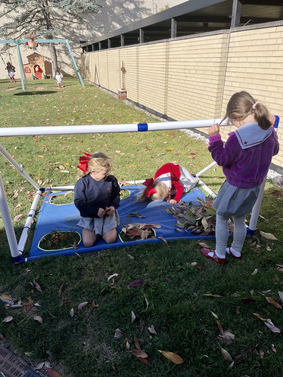 VizKindergarten's tweet photo. When your soccer goal becomes a leaf sorting work. 🍂🍁#WeAreMontessori #WeAreVizLS https://t.co/LNQ5PbpKlY
