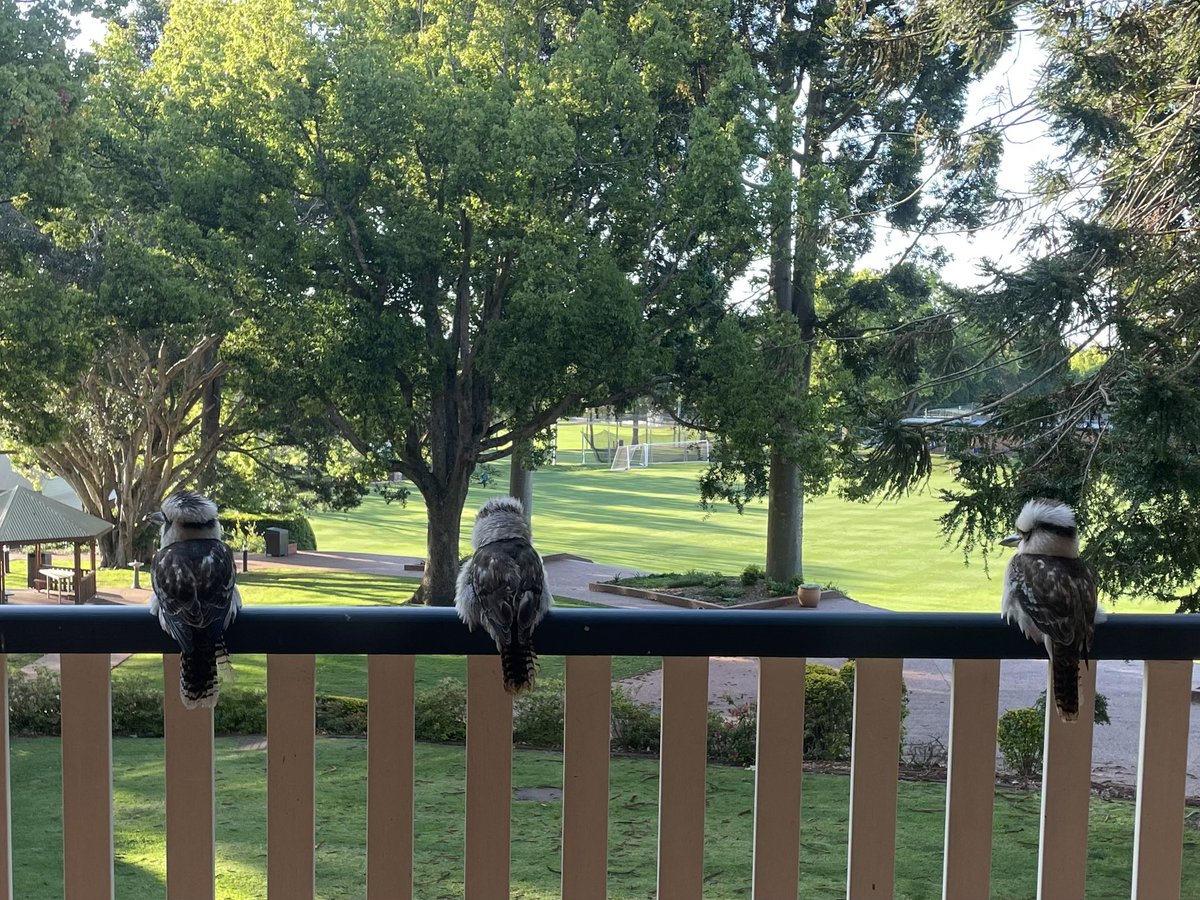 Dr. John Kinniburgh tweet media