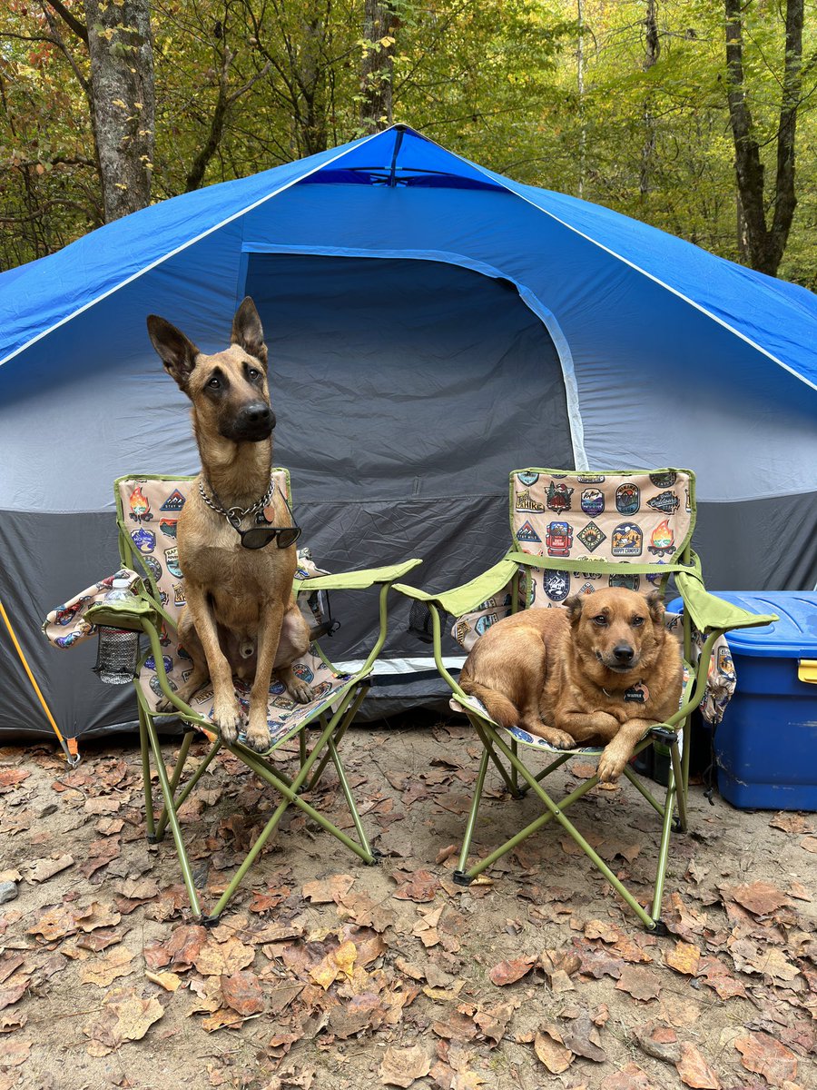 I think it’s safe to say these boys have the whole camping thing down 😍