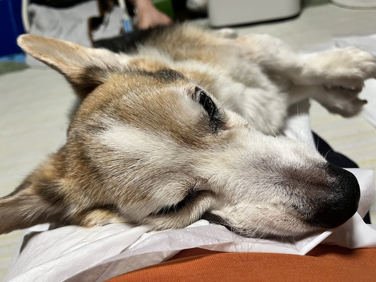 おはようございます。 