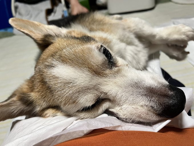 おはようございます。 