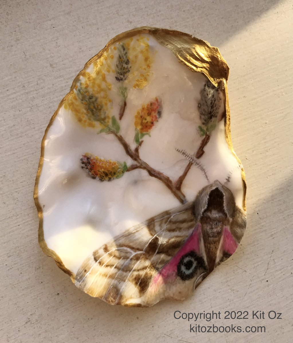 KitKitOz's tweet photo. Western Eyed Sphinx Moth and willow catkins, on an oyster shell. Soon to be for sale in the shop at @iheartSAM 

#oyster #oysters #moth #sphinx #willow #catkin #pussywillow #butterfly #painting #ceramicpainting #pnw #seattle #seattleartist #illustrator #illustration #wildlifeart https://t.co/okvFalDIdU