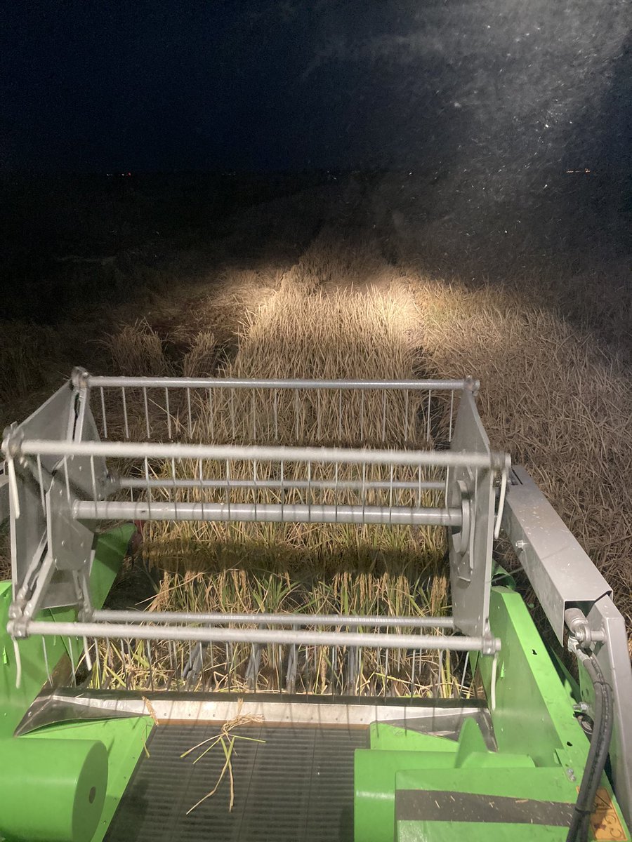 JHardke's tweet photo. Rice under the lights! Harvesting the last ARPT for the year.
#ARrice
#RiceCheckoffAtWork https://t.co/FoyU63mX2s