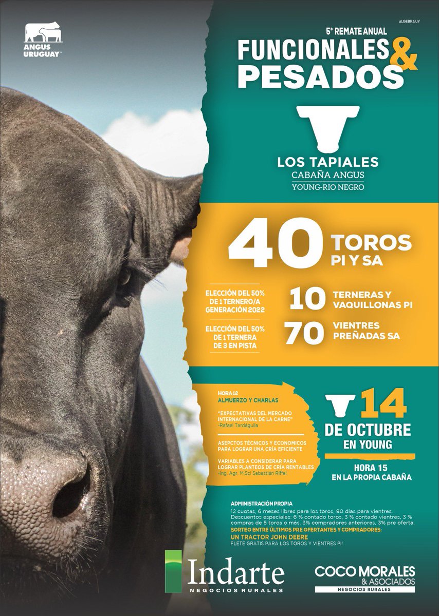 aleelhordoy1's tweet photo. Mañana!!! Los esperamos en la propia cabaña!!
@IndarteyCia @AngusUruguay
#angus #remateangus #remate #bulls #uruguay https://t.co/mGNM8IHNYn