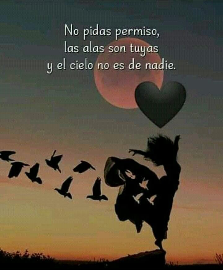 somosunicos01's tweet photo. Vuela muy alto 😎 https://t.co/Btqp8ntFpd