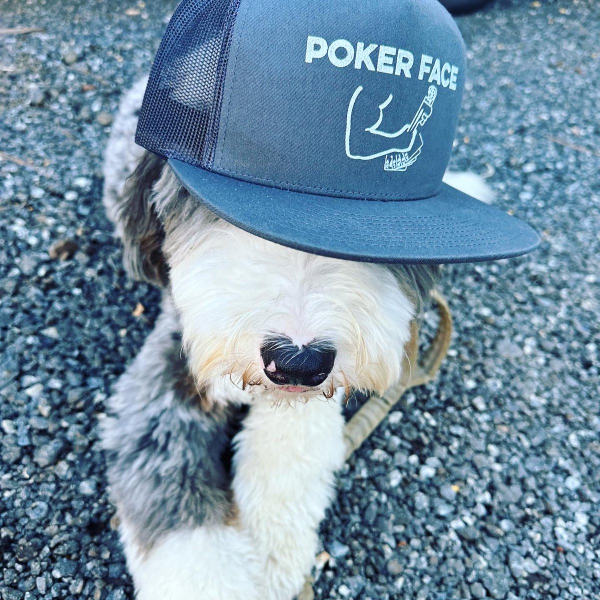 talktothearm's tweet photo. Poker face + Plumbers = #vegasbaby https://t.co/MRxgz6871M