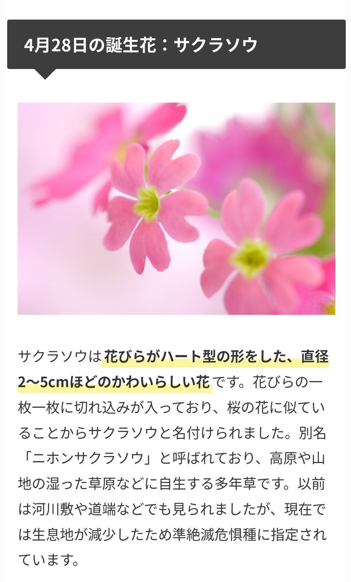 サイレント佐倉想と読み方にサクラソウ花言葉 本タイトルに話せない理由も ドラマsilent ホップウェブ
