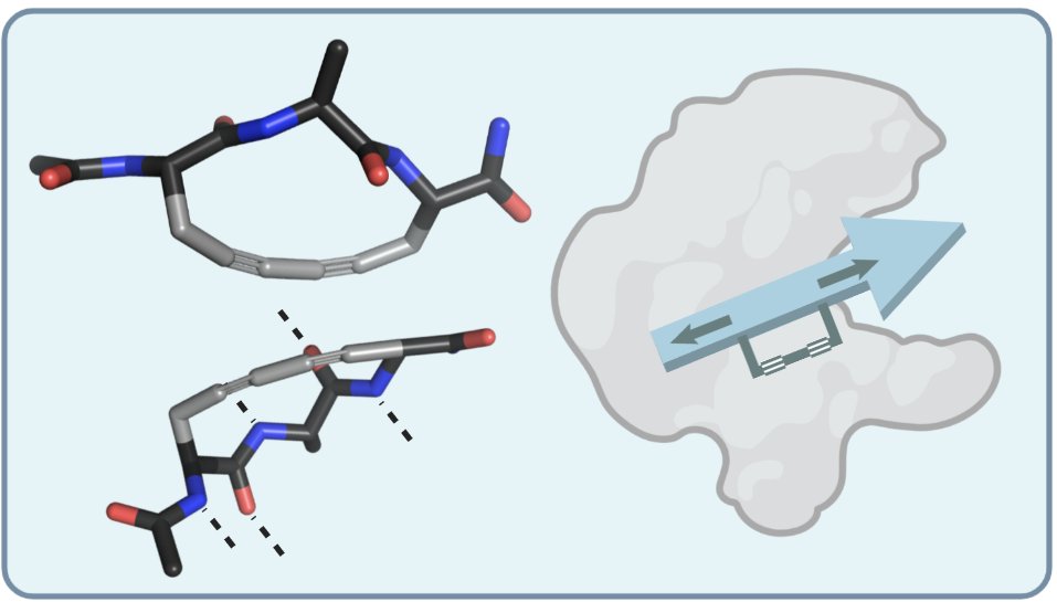 The Dawson Group (@dawson_group) on Twitter photo What happens when you jam a dyine rod into a tri-peptide? Excited to communicate the hard work of Zoë, Tony, <a href="/SorinaChiorean/">Sorina Chiorean</a> and collaborators including <a href="/AussieJohanRos/">Johan Rosengren</a> <a href="/ForliLab/">ForliLab</a>! #peptide #antibiotics chemrxiv.org/engage/chemrxi… What happens when you jam a dyine rod into a tri-peptide? Excited to communicate the hard work of Zoë, Tony, <a href="/SorinaChiorean/">Sorina Chiorean</a> and collaborators including <a href="/AussieJohanRos/">Johan Rosengren</a> <a href="/ForliLab/">ForliLab</a>! #peptide #antibiotics chemrxiv.org/engage/chemrxi…