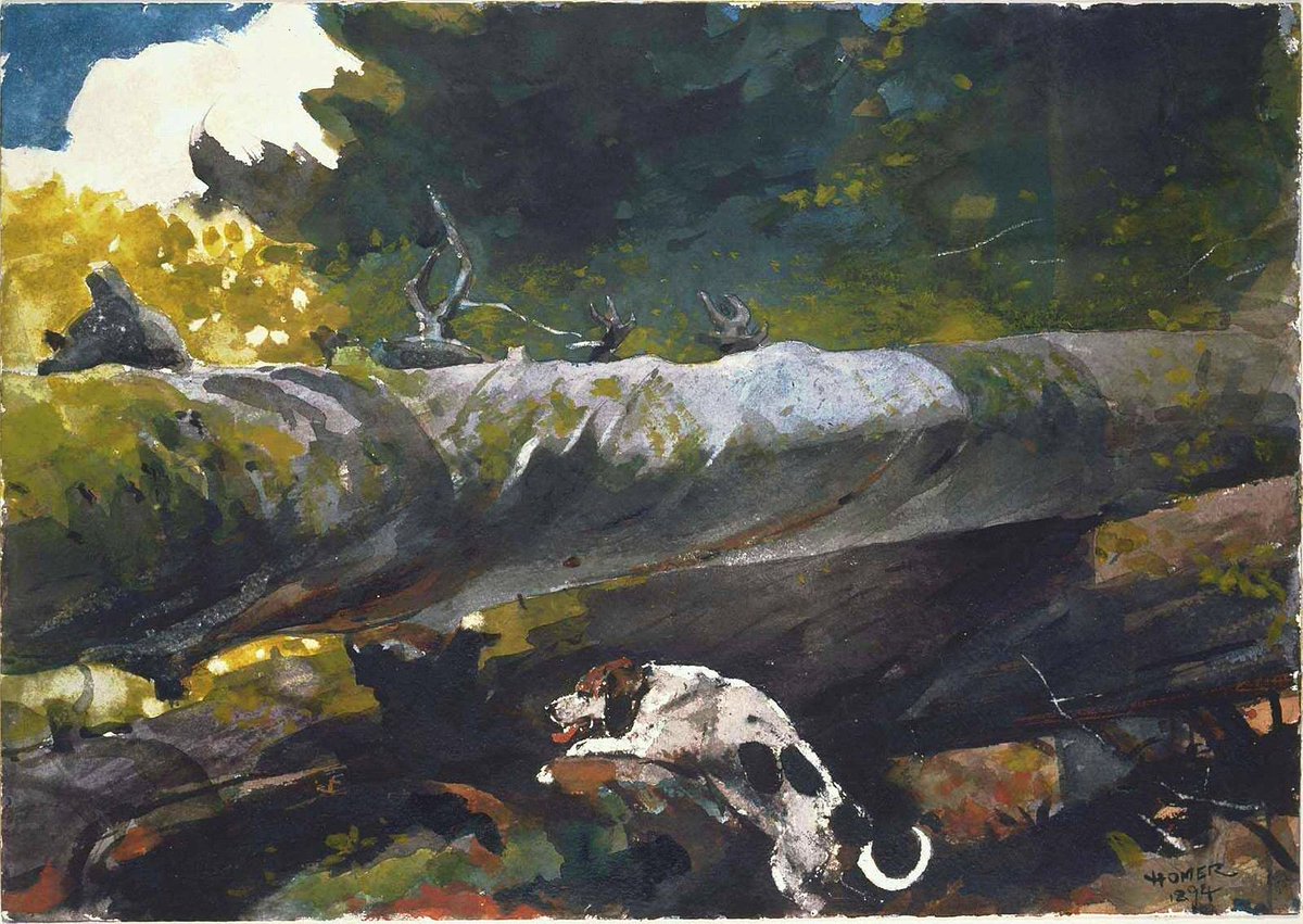 #Maddow 

Art Break 3

Winslow Homer-“Hunting Dog Among Dead Trees”(1894) #watercolor
Museum Of Fine Arts Boston

I did “hunting theme” tonight as salute to #J6Committee #J6Hearings