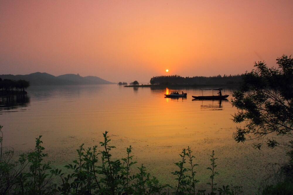 ViVi Tong tweet media