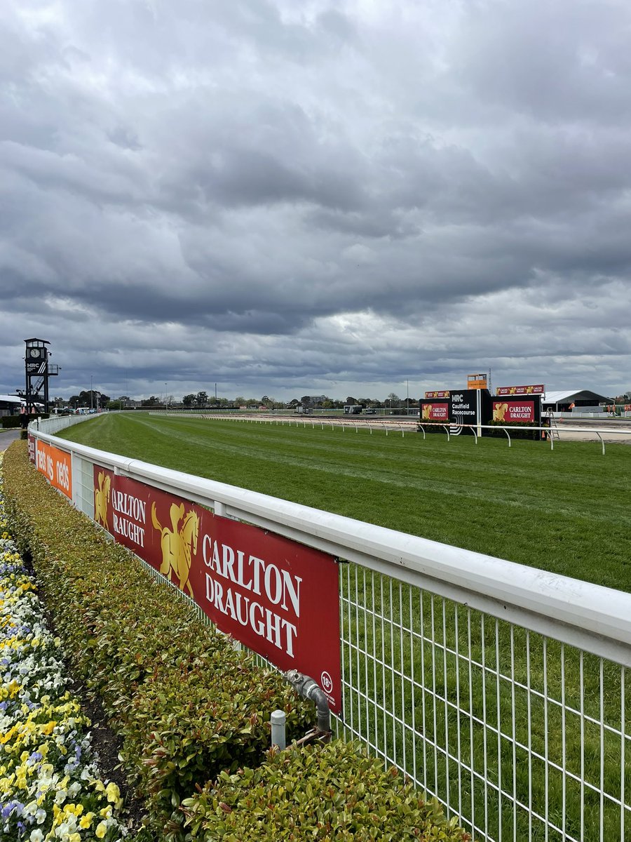 mattycain1's tweet photo. No more rain for Caulfield so racetrack will drain well and be improving into Caulfield Cup tmw. Shine your shoes and frock up for a great days racing at the Heath 🏇@MelbRacingClub https://t.co/JY4hgs2FyO
