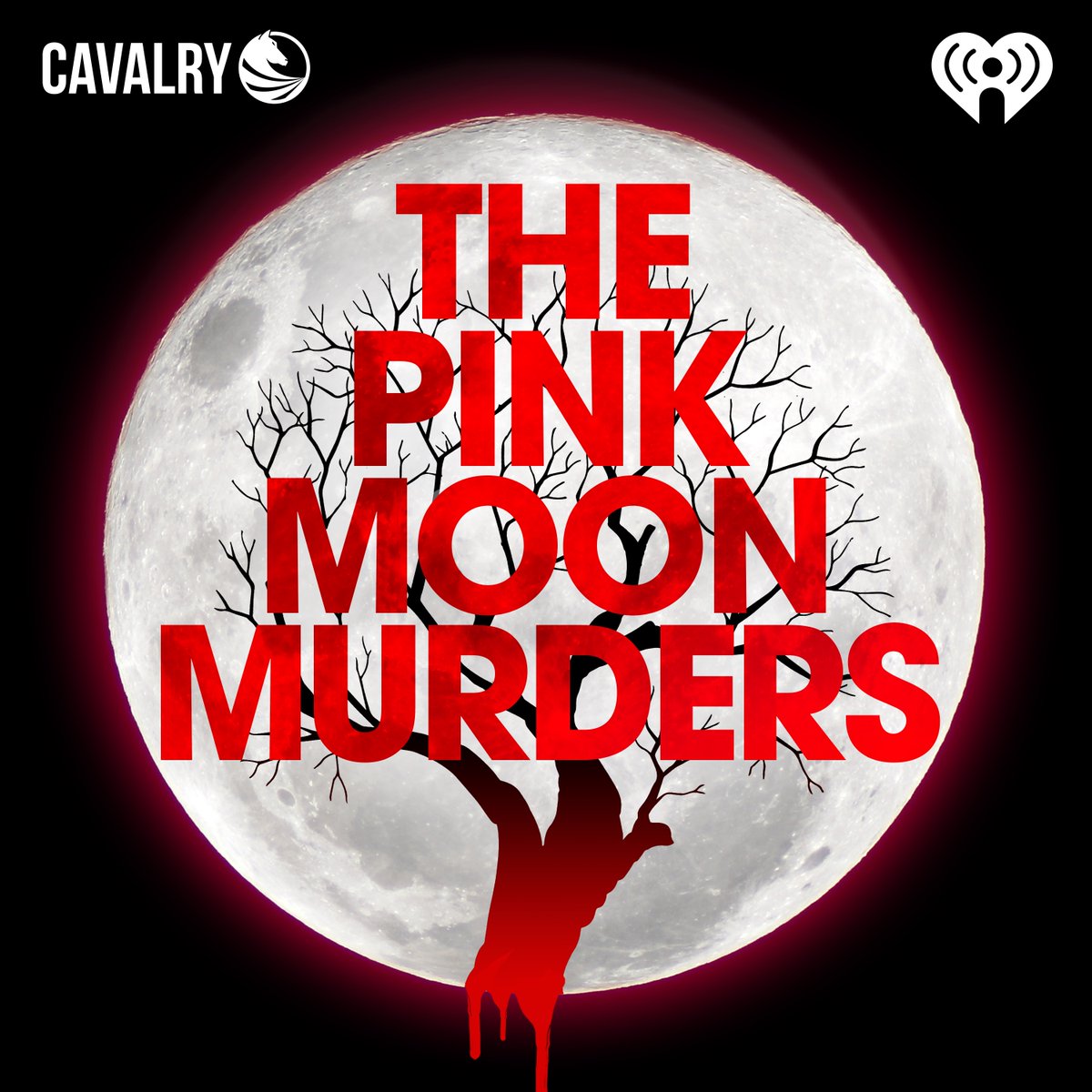 I'll speak to the Mystery Writers of America's Florida chapter about my true crime podcast series, The Pink Moon Murders, on Saturday at 1 p.m. Feel free to watch in person or via Zoom.
mwaflorida.org/meeting/