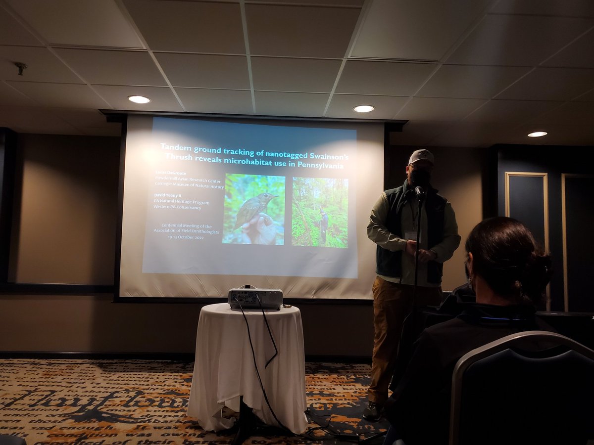 dyeany2's tweet photo. @LukeDeGroote presented our  Swainson's Thrush tracking study at #AFO100 - "Tandem ground tracking of nanotagged Swainson’s thrushes reveals microhabitat use in Pennsylvania" #motus @WaterLandLife @Powdermill_CMNH @FieldOrnith https://t.co/tXkCbaD0A6