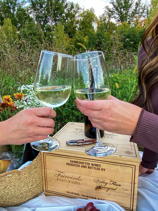 FairwindsEstate's tweet photo. The key to happiness is to recognize and appreciate the little things that truly mean a lot 🥂 

Get your glass of Fathom 2020 Chardonnay – Russian River Valley at https://t.co/4CqrPBps9w

#fairwindsestatewinery #calistoga #liveinthemoment https://t.co/Hiwn9bUnNP