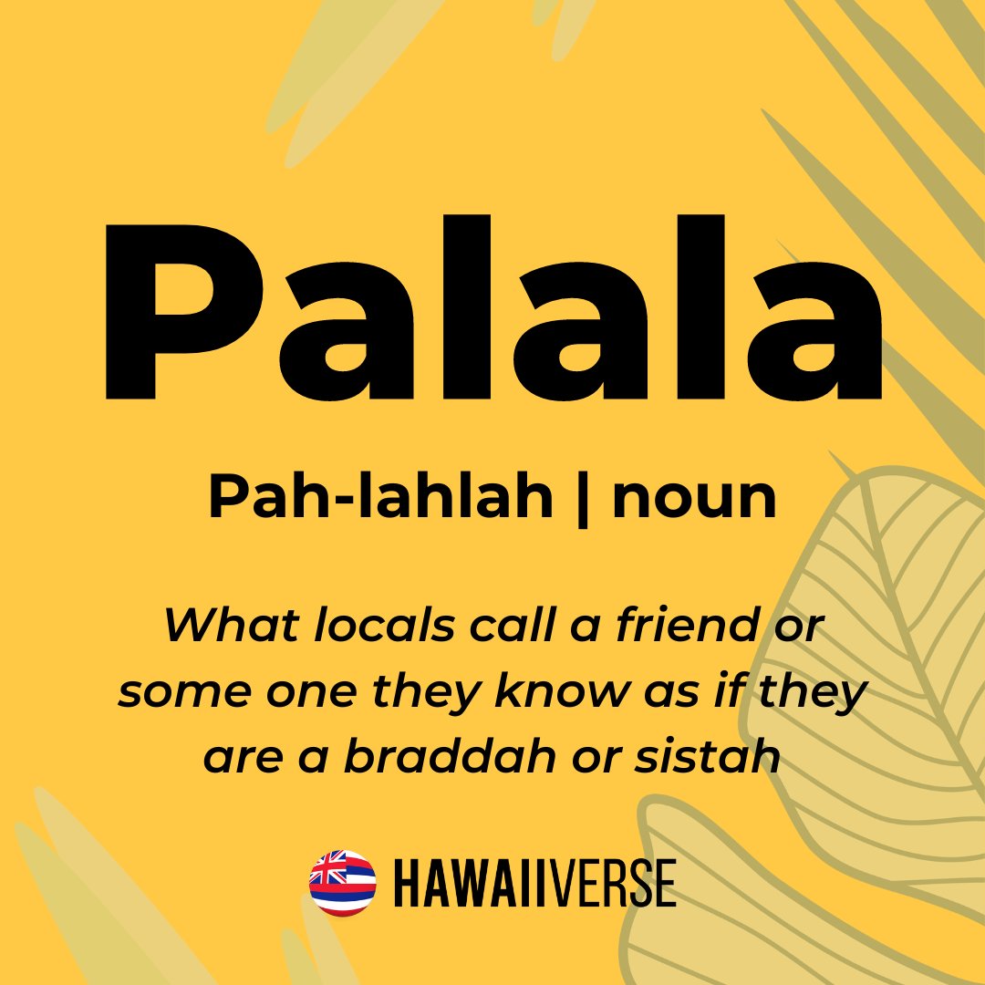 hawaiiverse's tweet photo. Share this with your Palala.
🤙🏽🤙🏽🤙🏽
#hawaiiverse #supportlocalhi #supportlocalhawaii https://t.co/endiDJTTED