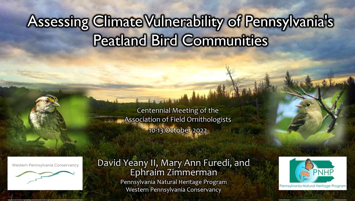 dyeany2's tweet photo. Thanks to all you ornithologists that stuck around for my #AFO100 talk at the end of the last day to learn about the PA Natural Heritage Program's work on "Assessing climate vulnerability of Pennsylvania peatland bird communities."
@FieldOrnith @WaterLandLife https://t.co/9MU1t5Zg8x