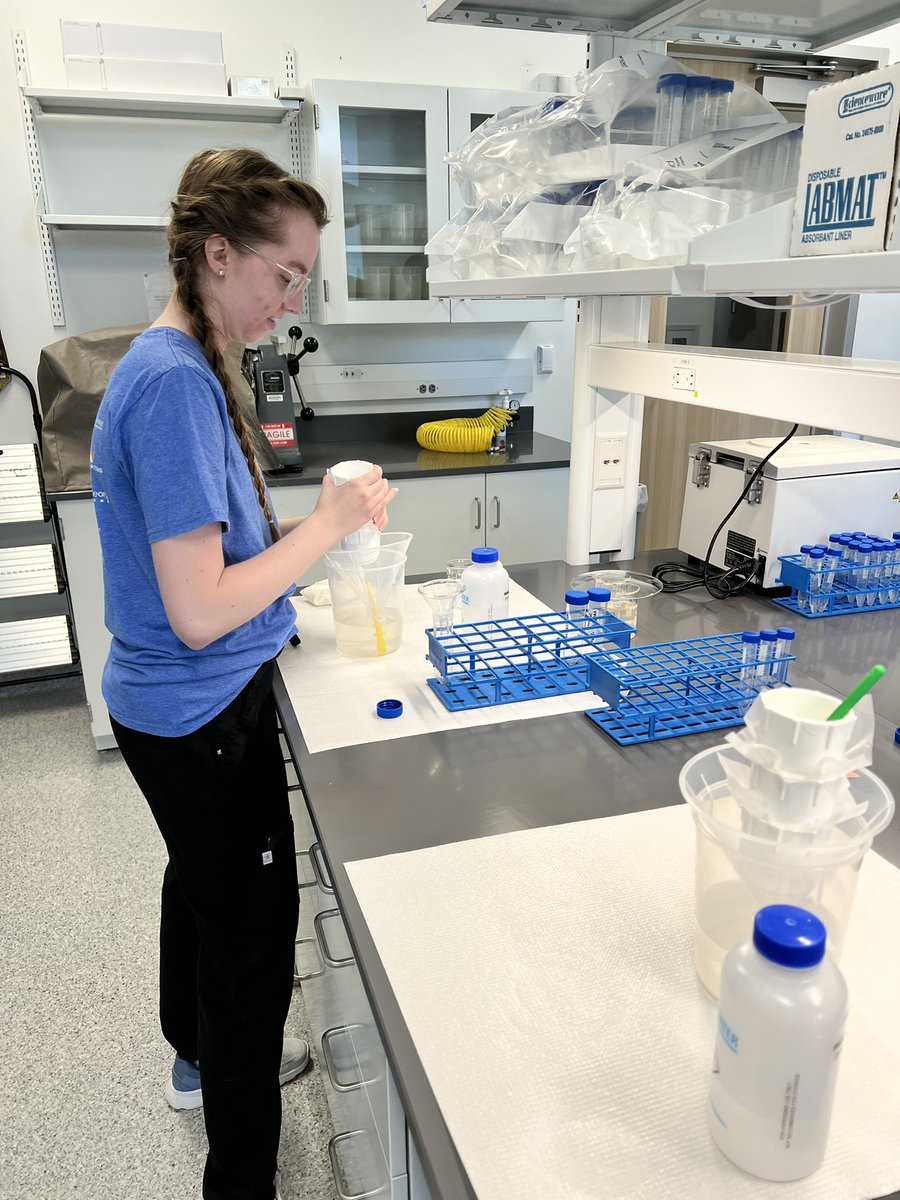 JaydeHirniak's tweet photo. Shout out to our amazing undergraduate researchers! I wouldn’t be sane without them #shesc #iho #rapprogram #undergraduate #researchers https://t.co/vf3u1vMYeV