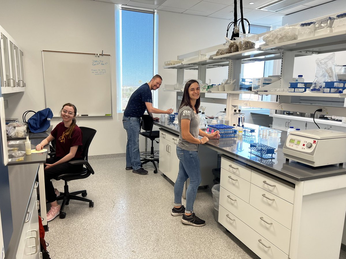 JaydeHirniak's tweet photo. Shout out to our amazing undergraduate researchers! I wouldn’t be sane without them #shesc #iho #rapprogram #undergraduate #researchers https://t.co/vf3u1vMYeV