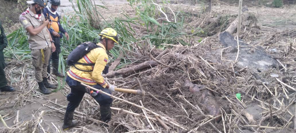 Forestales El Limon tweet media