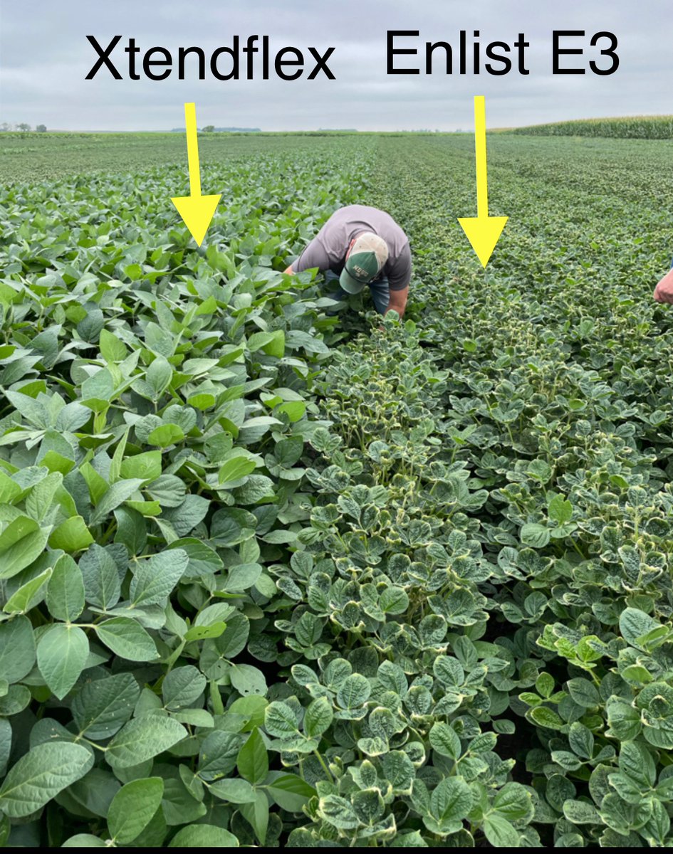 jesse moch tweet media