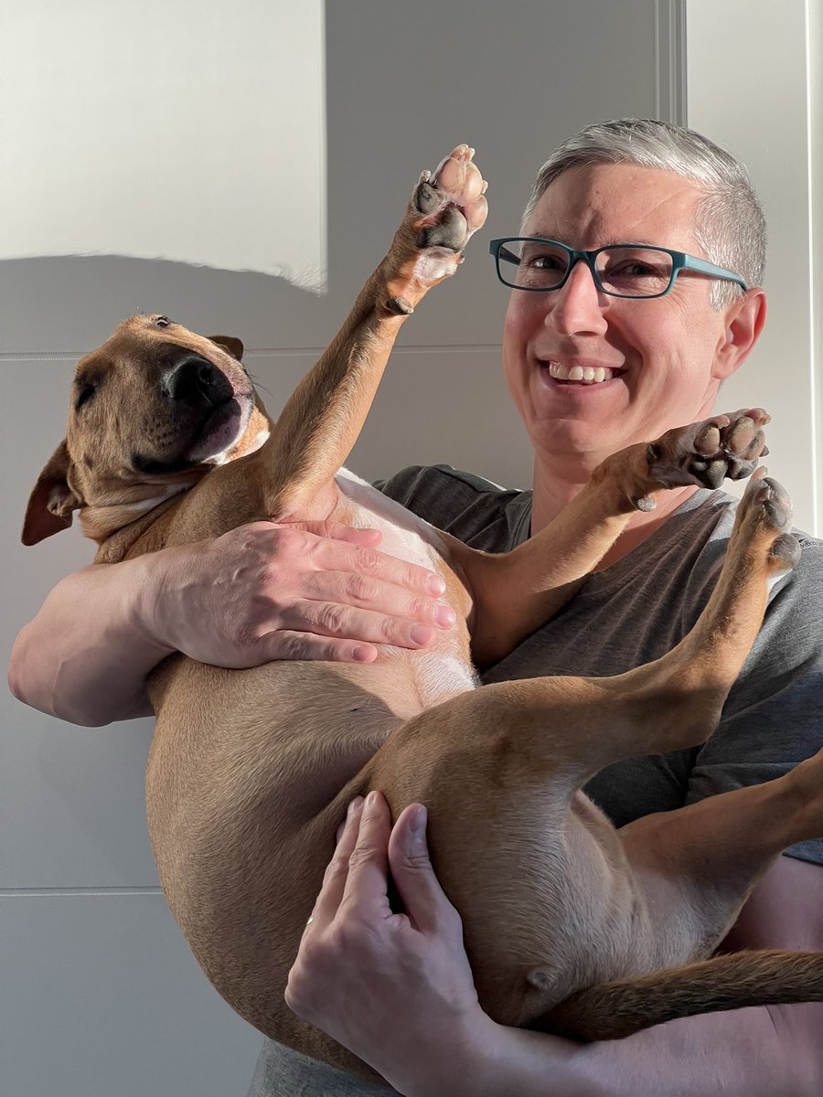 AugustusTheMini tweet media