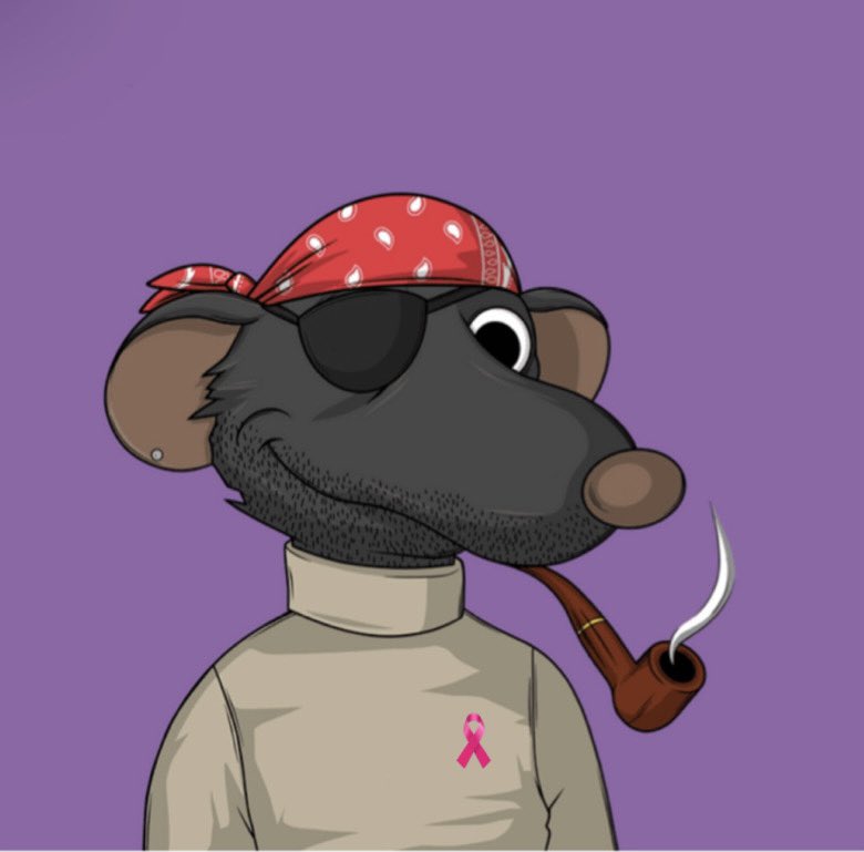 AllMySats's tweet photo. @iLoveCyclingCa @fatratmafia GM #patchgang🧀 
#FatRatMafia https://t.co/qF4RDeuDpl