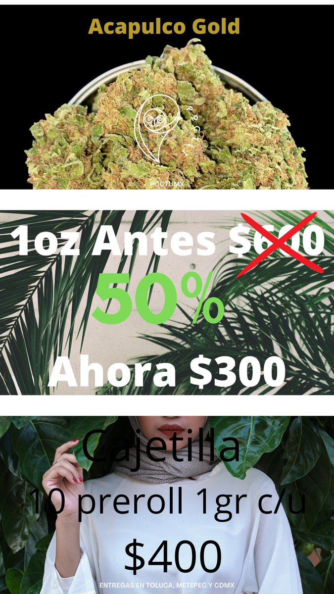 Poctli_mx's tweet photo. Tenemos un amplio catálogo de flores. Comprueba nuestra calidad. #grifoesamor #cannabislegal #tolucannabis420 #mota #marihuana #420mexico #cannabis🍁 #legaliza #Toluca #tolucannabis #420Toluca #thc #porros #cheetos #resses #preroll #prerrolados #PuraKush #promociones #oferta https://t.co/TUK7r3Hrzx