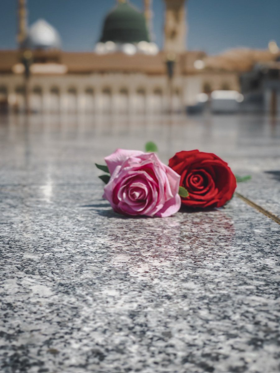 Awaited_Hope's tweet photo. If we truly want to celebrate the Holy #Prophet’s (pbuh) #birthday, then we should honor him by looking externally & reexamine our manners. Are we mirroring “The Best of Mankind,” through our actions, words, & deeds?
#MuhammadMercy4All
#ProphetMuhammad pbuh https://t.co/CPYbUPjaEs