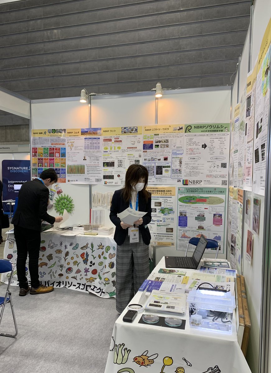 nbrp_info's tweet photo. #BioJapan2022 最終日になりました。文部科学省NBRPナショナルバイオリソースプロジェクトでは研究に必要な生物遺伝資源の保存分譲寄託等をしています。企業研究にも活用いただけるリソースも多数ございます。バイオジャパンご来場の皆様ぜひお立ち寄りください B-53 https://t.co/tkufWwG5tT