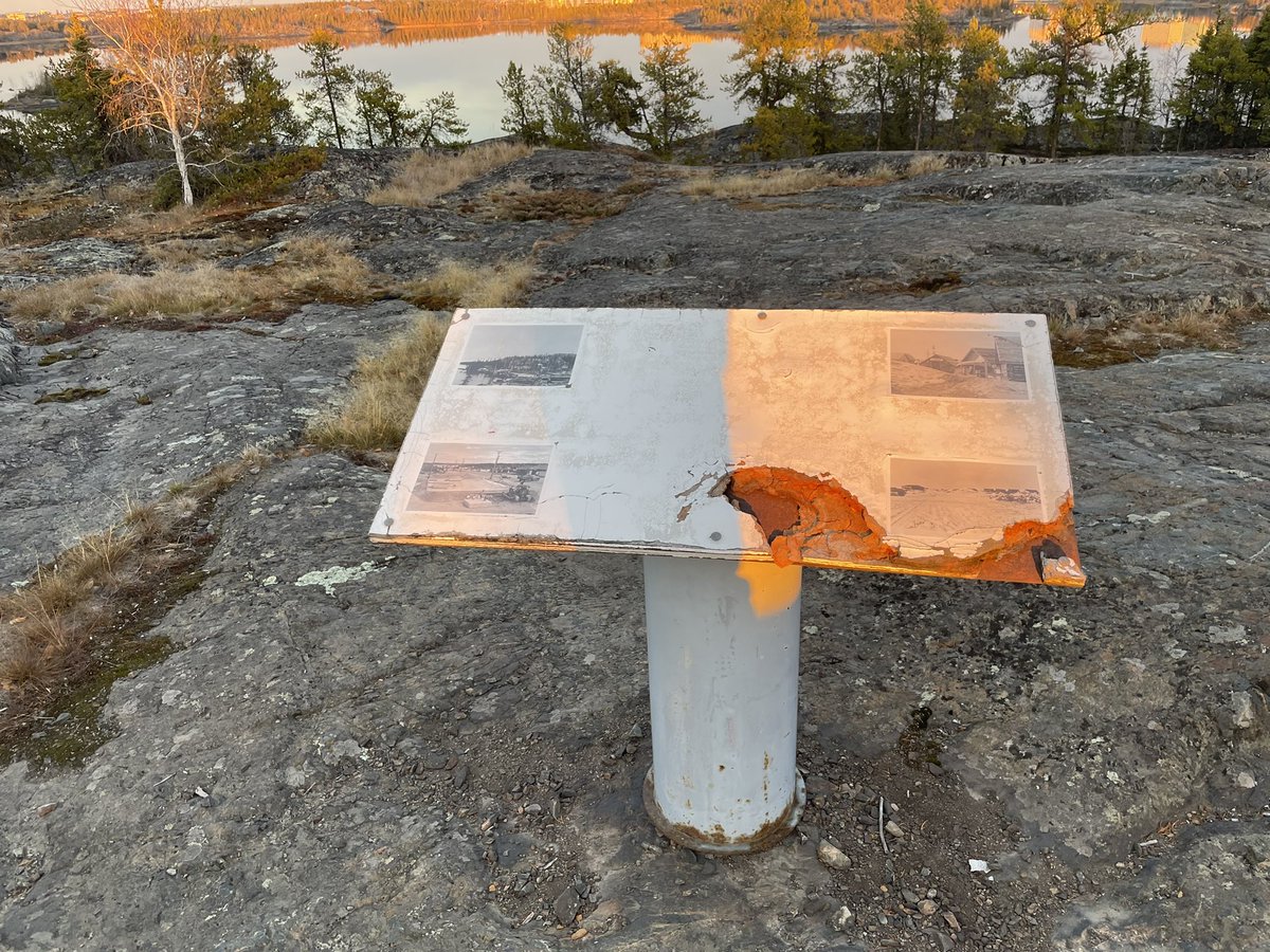 David Wasylciw tweet media