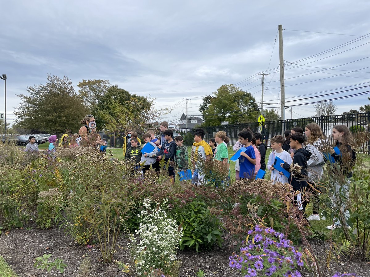 Jamiecarlino's tweet photo. Insect Apocalypse? 6th grade science classes had the amazing opportunity to meet w/ 8th grade science teacher @AnnMari39703462  to learn about the native garden at IMS and how it is helping to increase the insect population. Keep an eye out for a new garden at IMS soon!  @IslipMS https://t.co/PWGgQlvmok