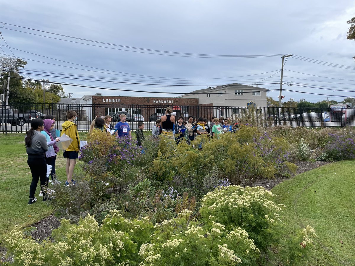 Jamiecarlino's tweet photo. Insect Apocalypse? 6th grade science classes had the amazing opportunity to meet w/ 8th grade science teacher @AnnMari39703462  to learn about the native garden at IMS and how it is helping to increase the insect population. Keep an eye out for a new garden at IMS soon!  @IslipMS https://t.co/PWGgQlvmok