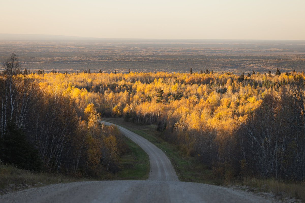 View from Brockelbank Hill — the highest point in Saskatchewan's Porcupine Hills!

There’s a difference of nearly 500m (1,617 ft.) between the peak and the plains below 🤯

📍Woody Lake Road (HWY 980) near Hudson Bay