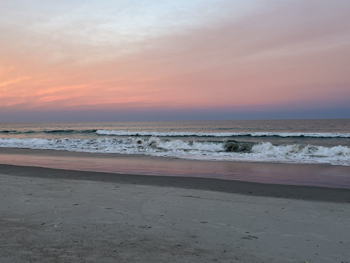 End your work day here! Come be my colleague in Wilmington, NC! We’re hiring a TT biochemist. App deadline is Halloween 🎃  job link below