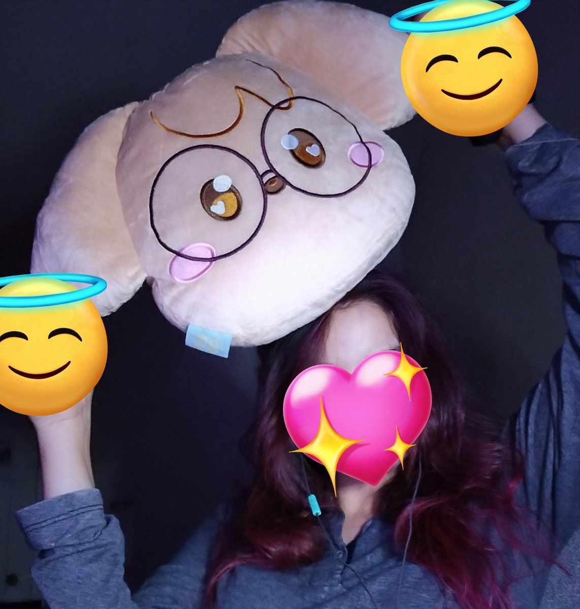 roseforskz's tweet photo. Got another plushie 🫣 #zimtythings
You can't really see but I promise you I'm gleaming with joy 🐶🥺🥺💗💗

THANK YOU SO MUCH @zimtyco 🥺🥺💗💗 https://t.co/ESggiavwo8