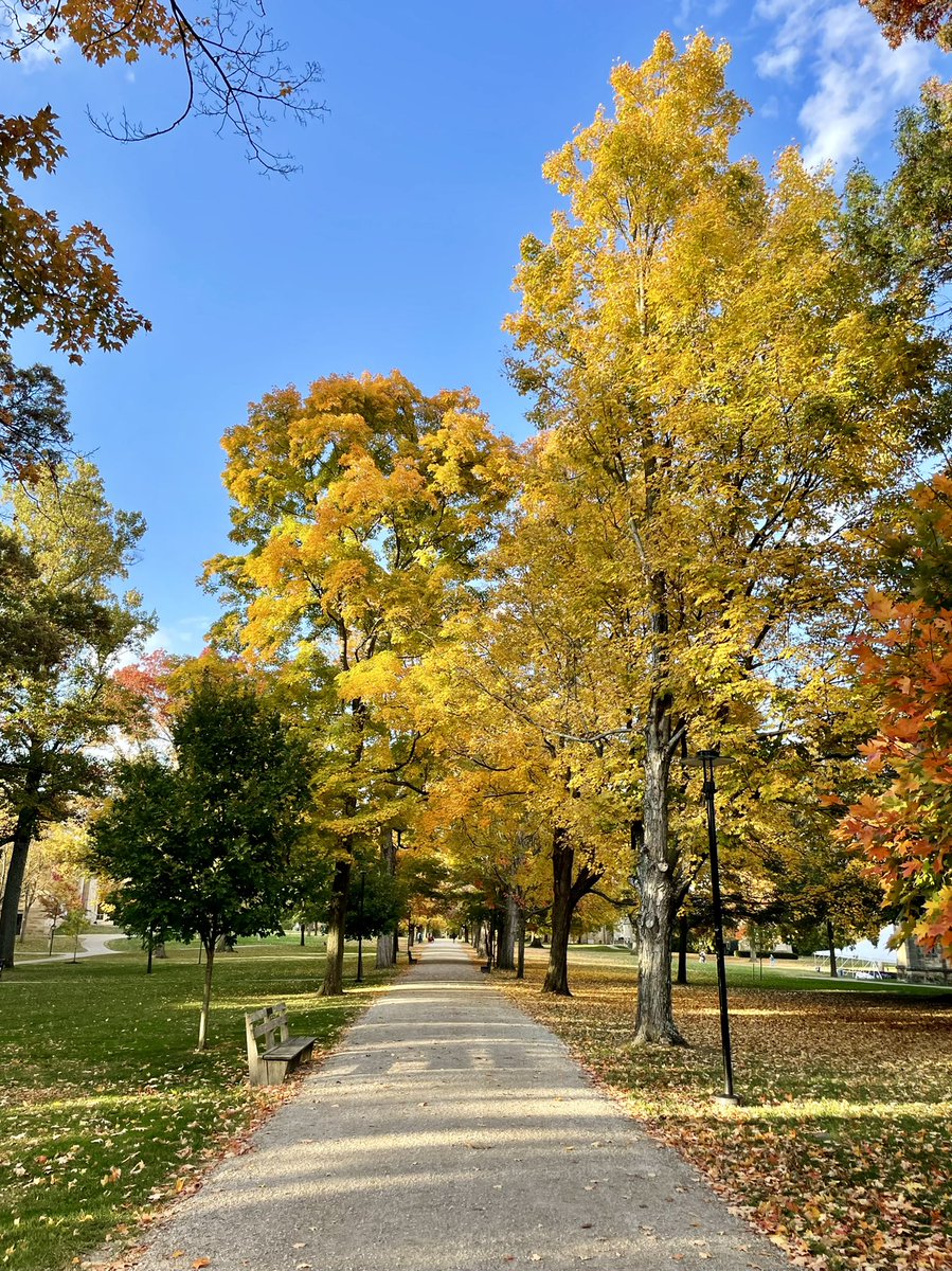 Fall on middle path @KenyonCollege