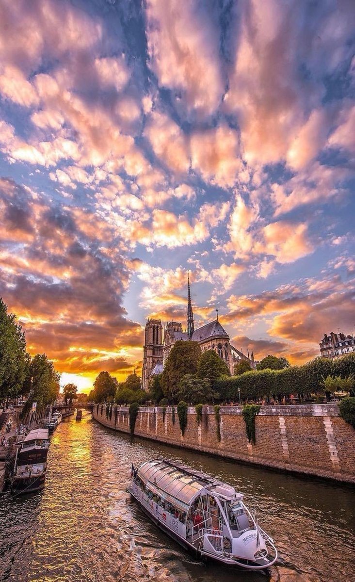 helena_mar19's tweet photo. Good morning, have a beautiful day 🦋

France https://t.co/ShH8matLdj