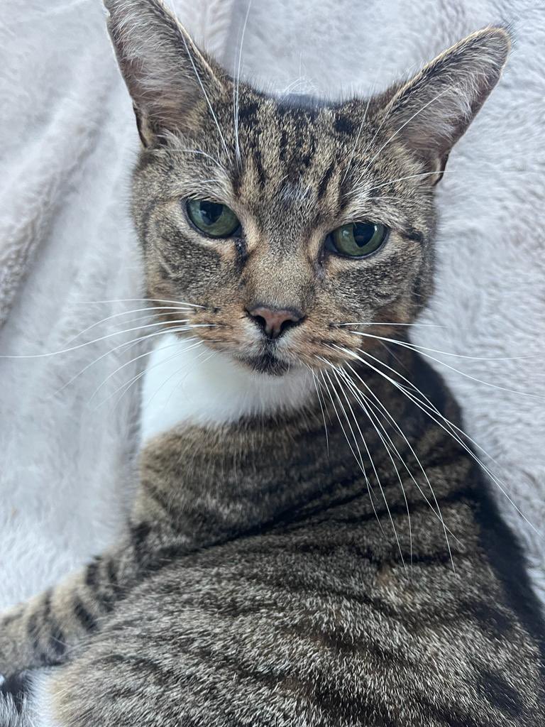 Did you say something ?