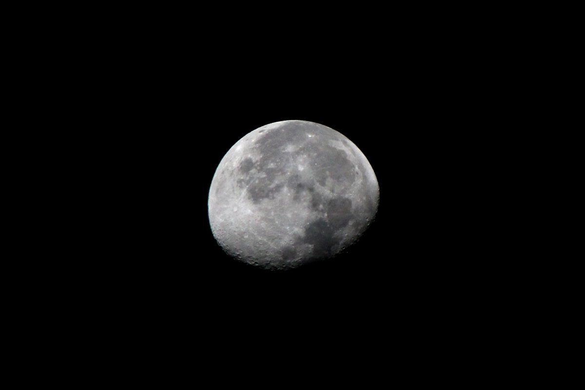 DavidAffray's tweet photo. Thank you for your #1linewed support!
#RestoreTheMoon
@LLaaksoWriter
@akcaggiano
@paulphillips44
@NickPWilford https://t.co/G3QIPwB3Ah