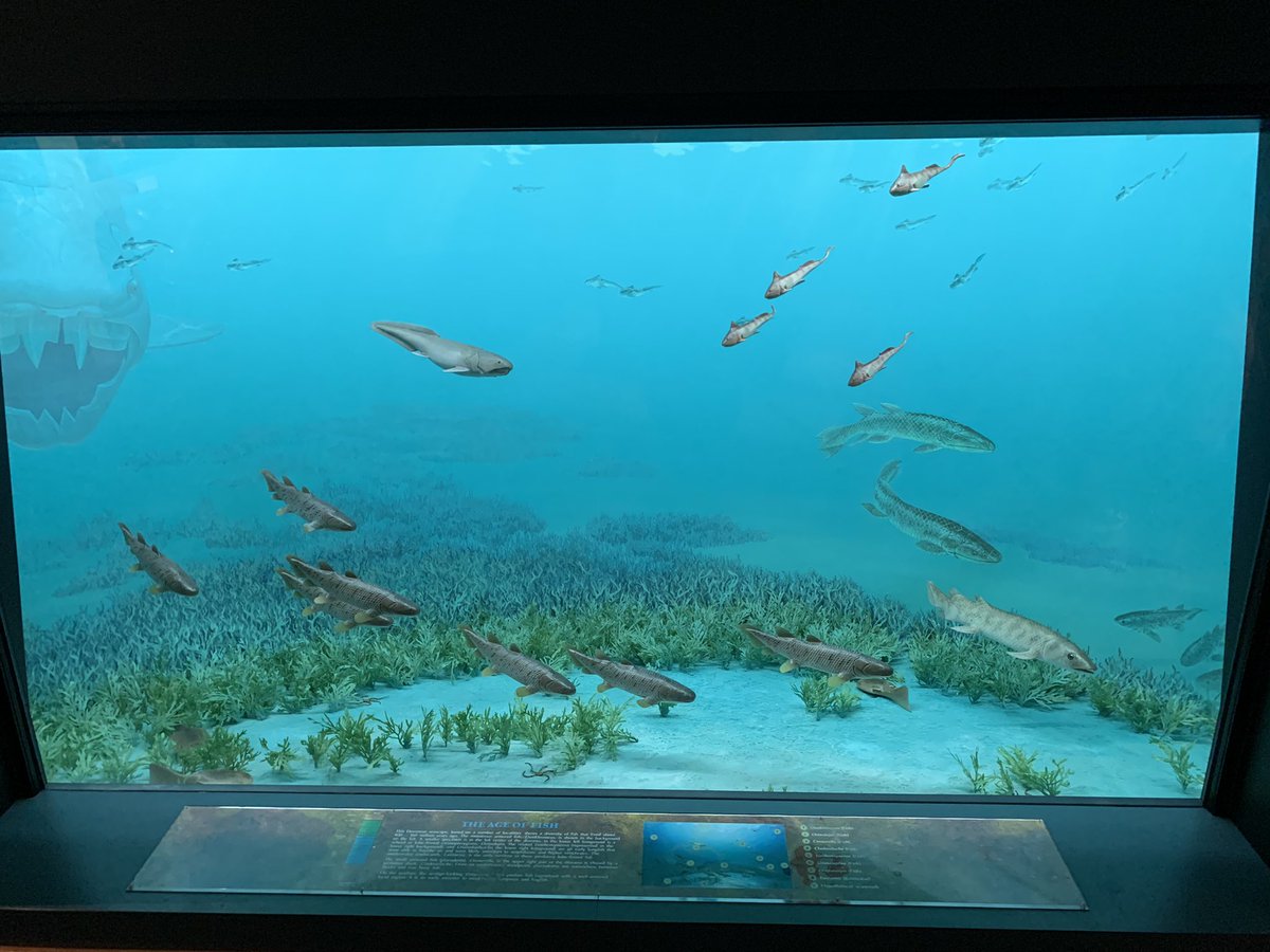 roukaryu tweet media