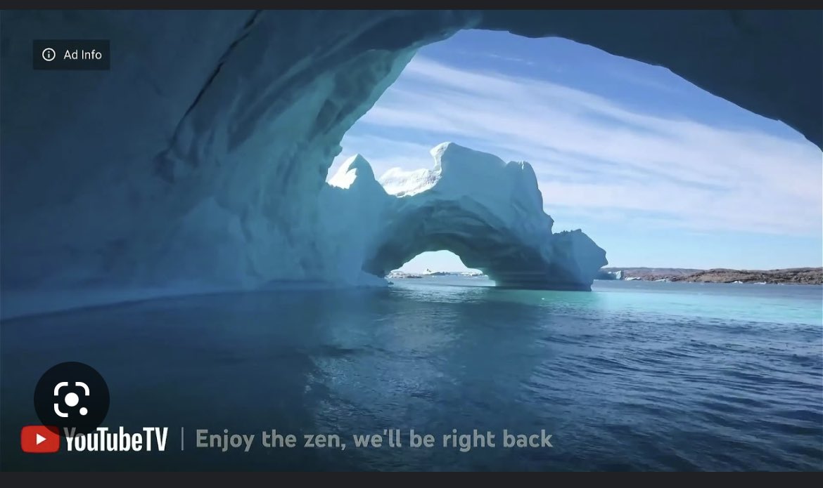 shelbelle94's tweet photo. Seeing nature instead of ads is more than worth the price of #youtubetv. Awesome. https://t.co/b9uDlzVCRX