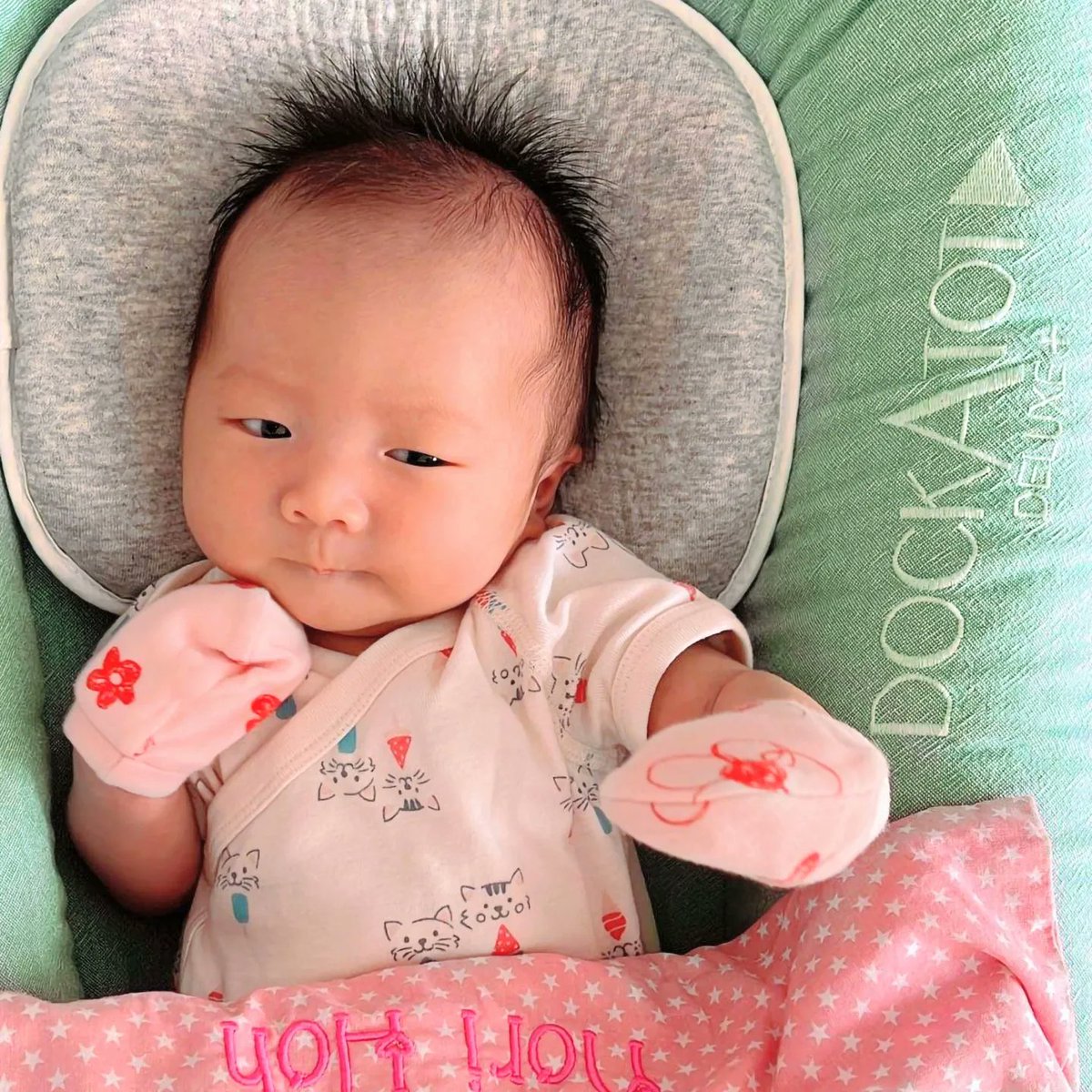 derrickhoh's tweet photo. Been making #NoriHoh practice her fighting stance lately. I think she's doing well so far... I guess you can all her Ip-Man now.. sorry I mean #bibman
Also take that weekdays! Because it's #TGIF! Wattaa!
#Hohpa #babyboxer #boxinglife #mmatraining #babyfighter https://t.co/t3EpiTnTuk