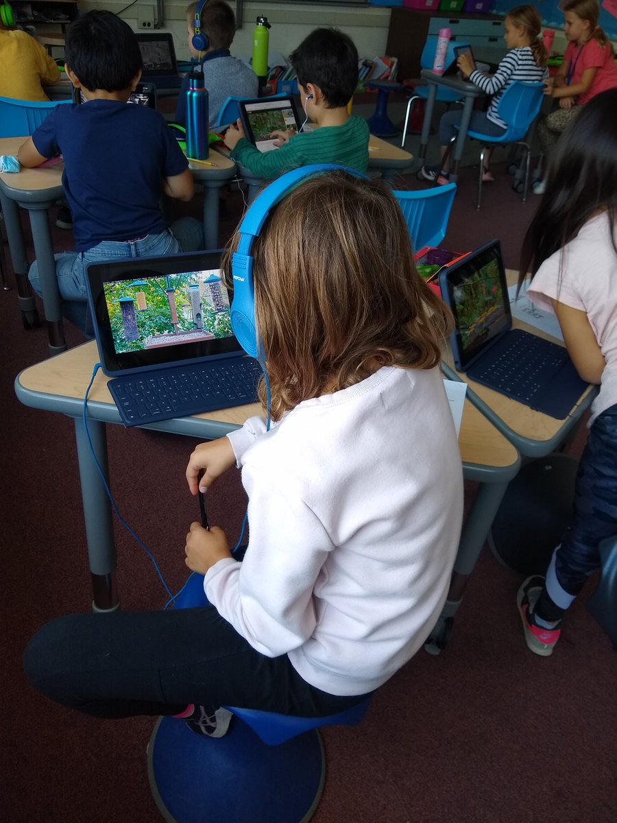 Today Room 202 scientists observed live bird feeder cams to determine if there is a pattern to the motion of birds #d39cheetahs