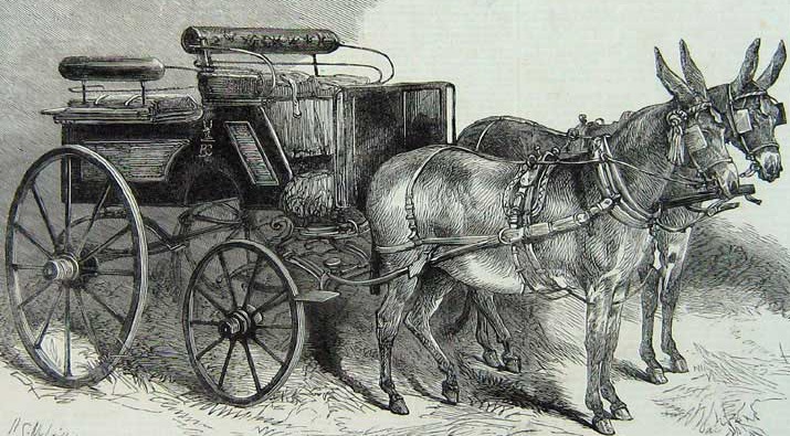 sansculotides's tweet photo. Today is quintidi 15 Vendémiaire in the year of the Republic CCXXXI, celebrating the donkey. https://t.co/u88c9grHe3