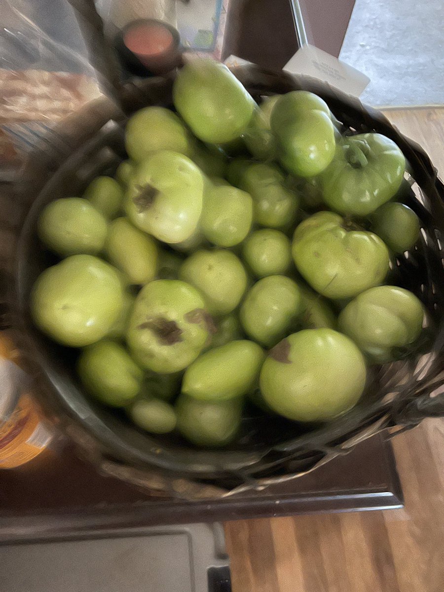 doreenmsmith's tweet photo. #Finalharvestbeforethefirstfrost https://t.co/QagSboJ3HC