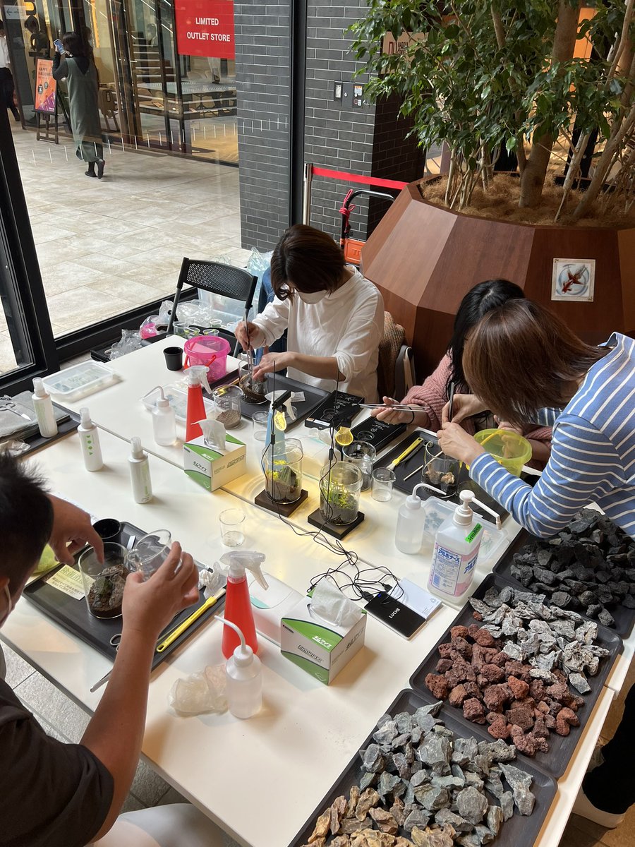 AquaRevue's tweet photo. お陰様で無事ワークショップ終了しました。
#ワークショップ #NABOLO #ジュエルオーキッド #aquarevue
#paluda https://t.co/auo7CsOpwK