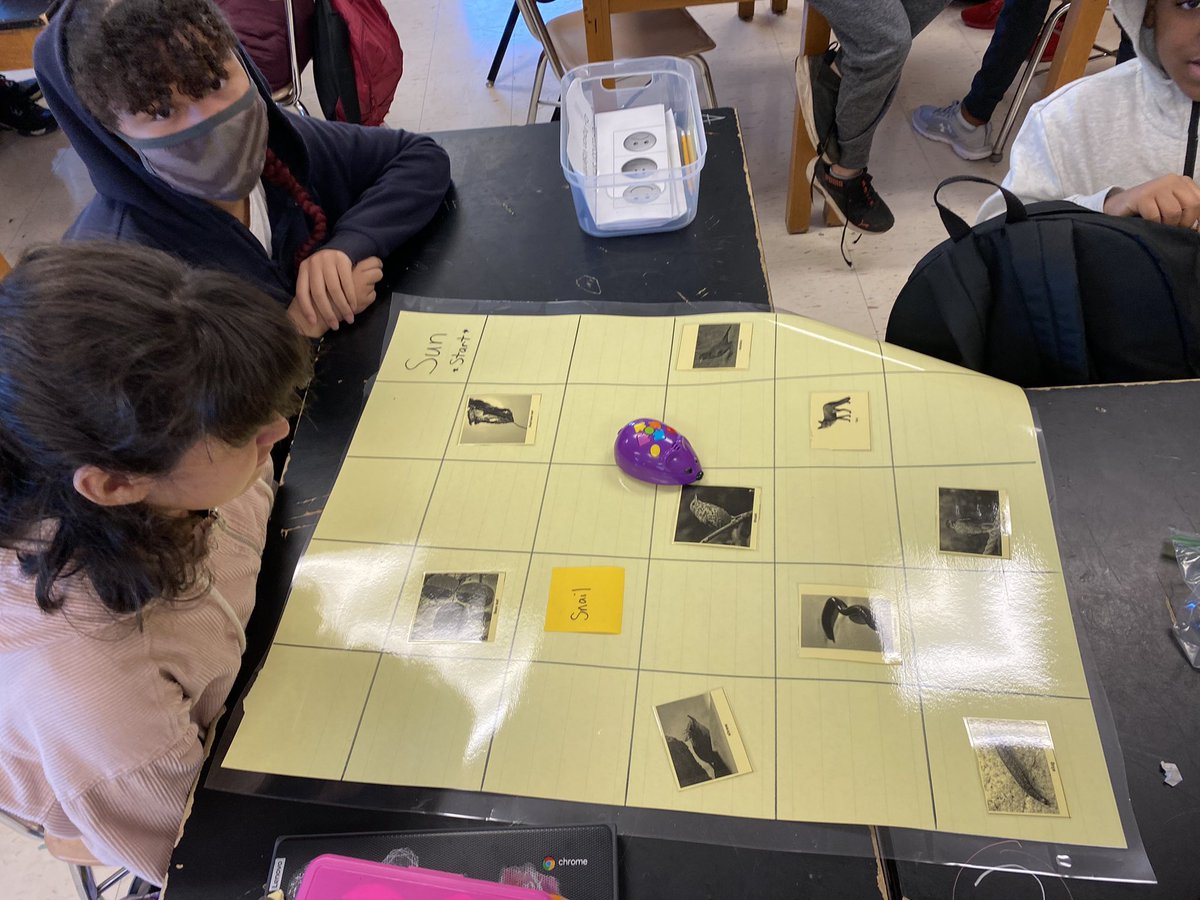 PeggyKoenig's tweet photo. Do robots belong in a food web? Yes indeed! Today was a fun mashup of environmental science and computer science. 6th graders reviewed energy flow with the help of Code & Go Mice. @SchifferB @cgee_theAP @Fschrader1 @FMS_BCPS #FMSpride #CSforAll https://t.co/KWlLHX6cKi